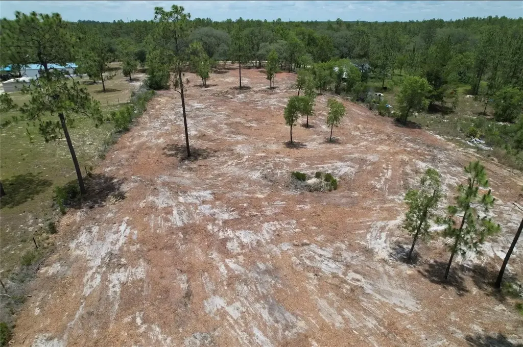 NE 56th Street Bronson FL 32621