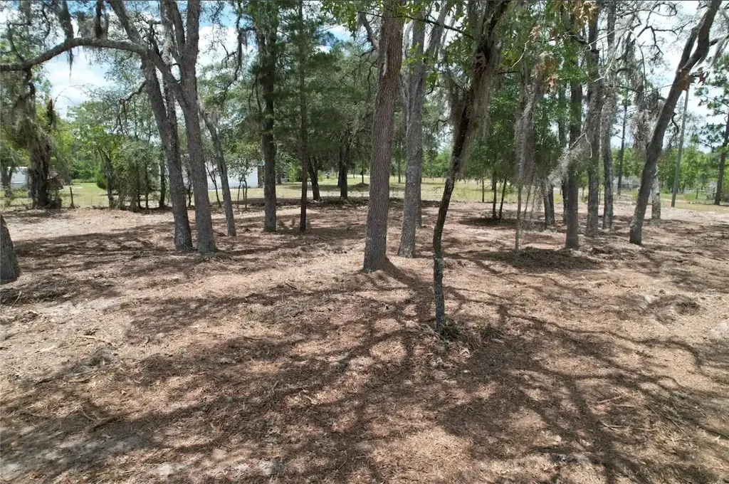 NE 56th Street Bronson FL 32621