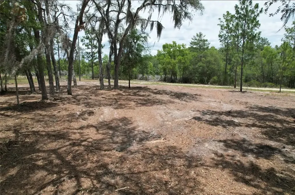 NE 56th Street Bronson FL 32621