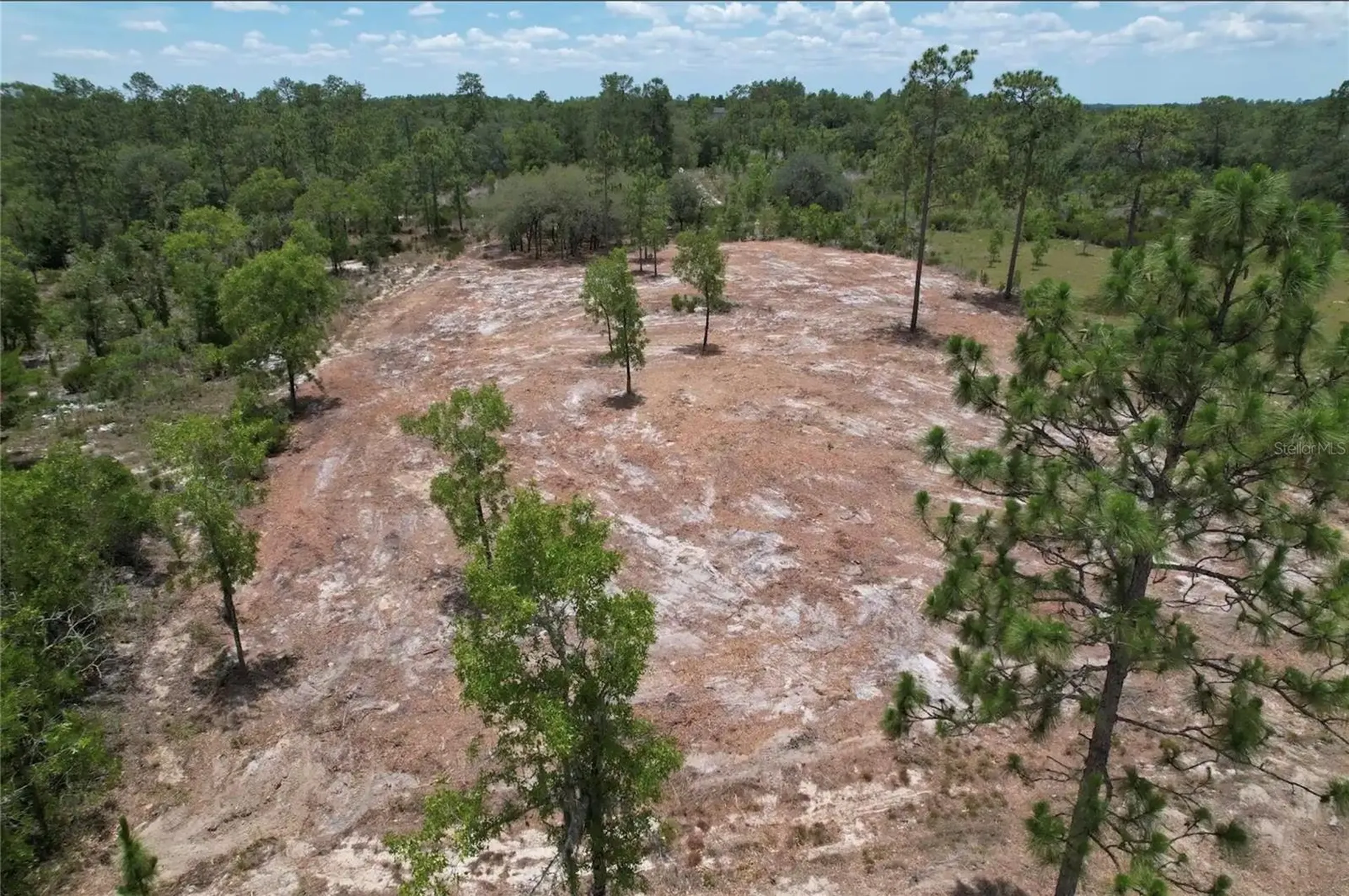 NE 56th Street Bronson FL 32621