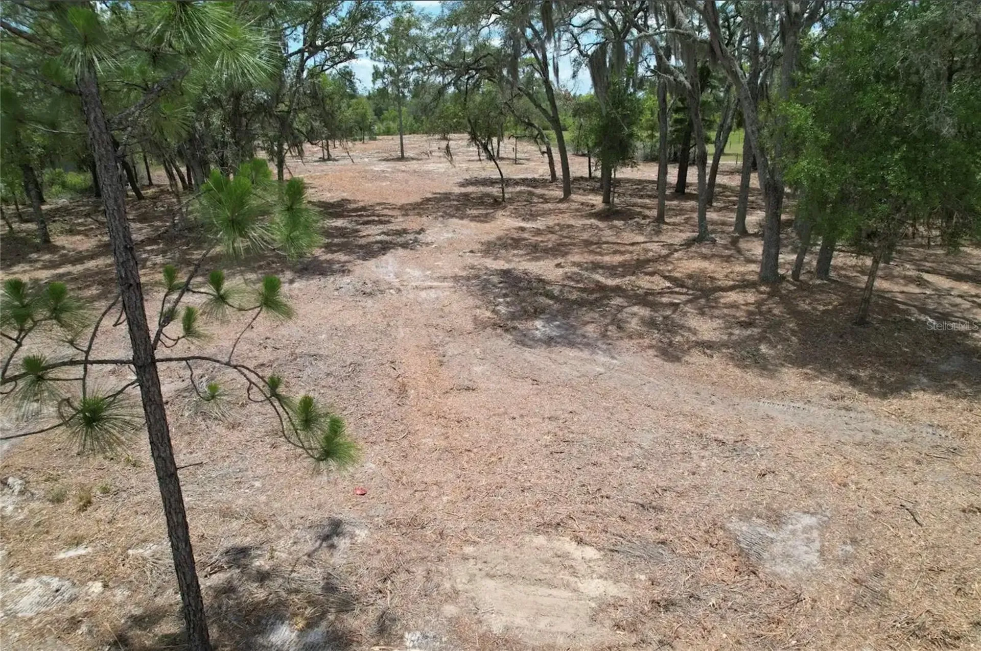 NE 56th Street Bronson FL 32621
