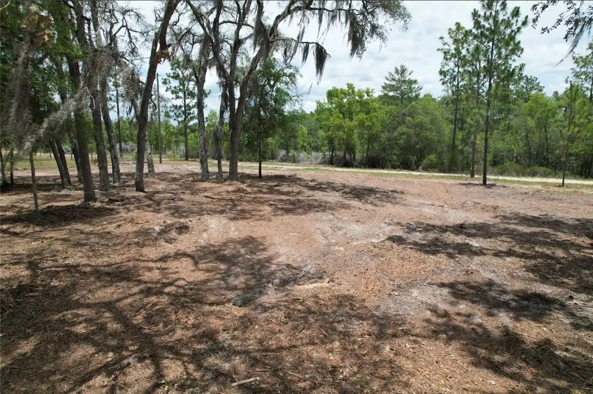NE 56th Street Bronson FL 32621