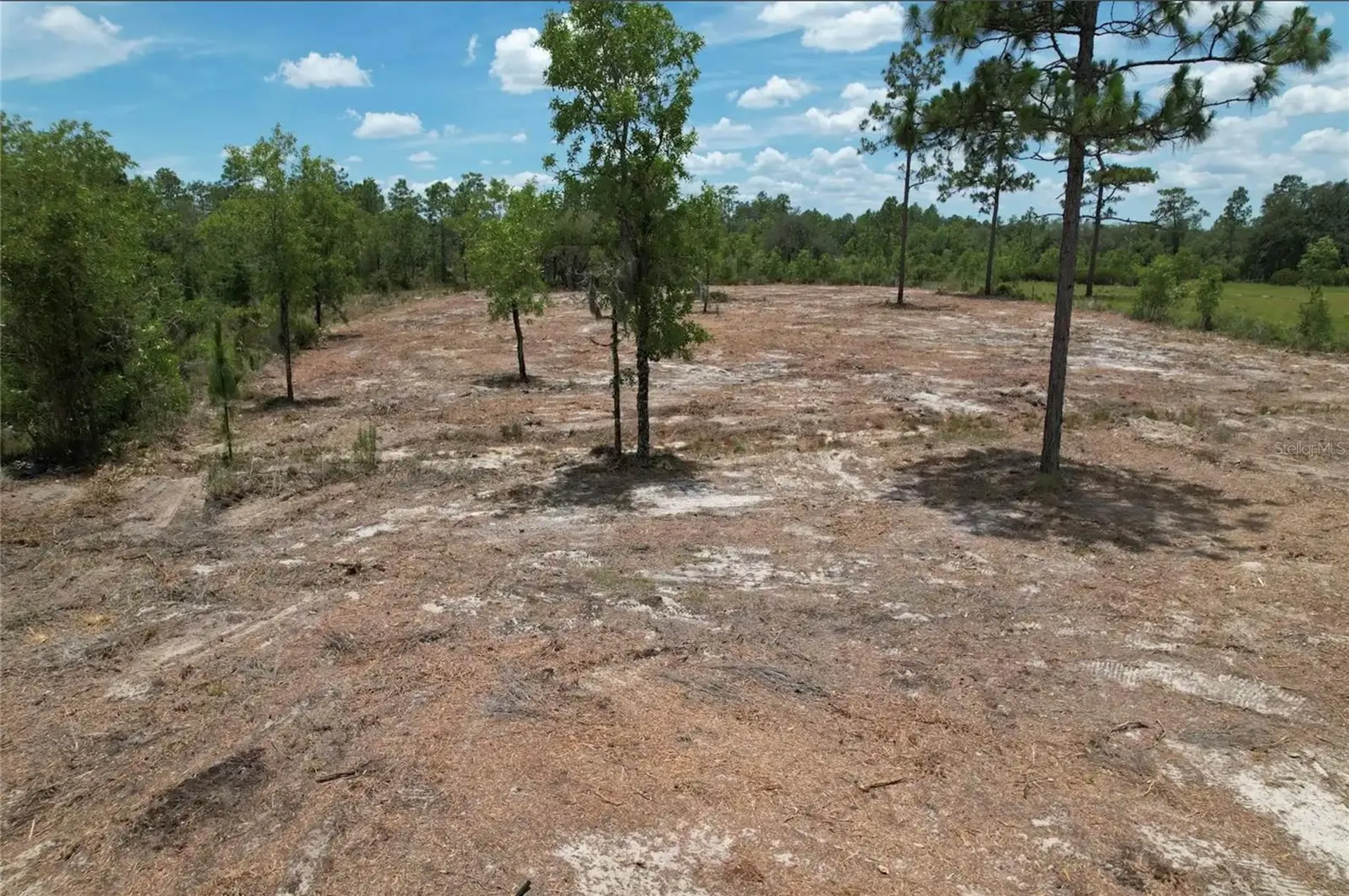 NE 56th Street Bronson FL 32621