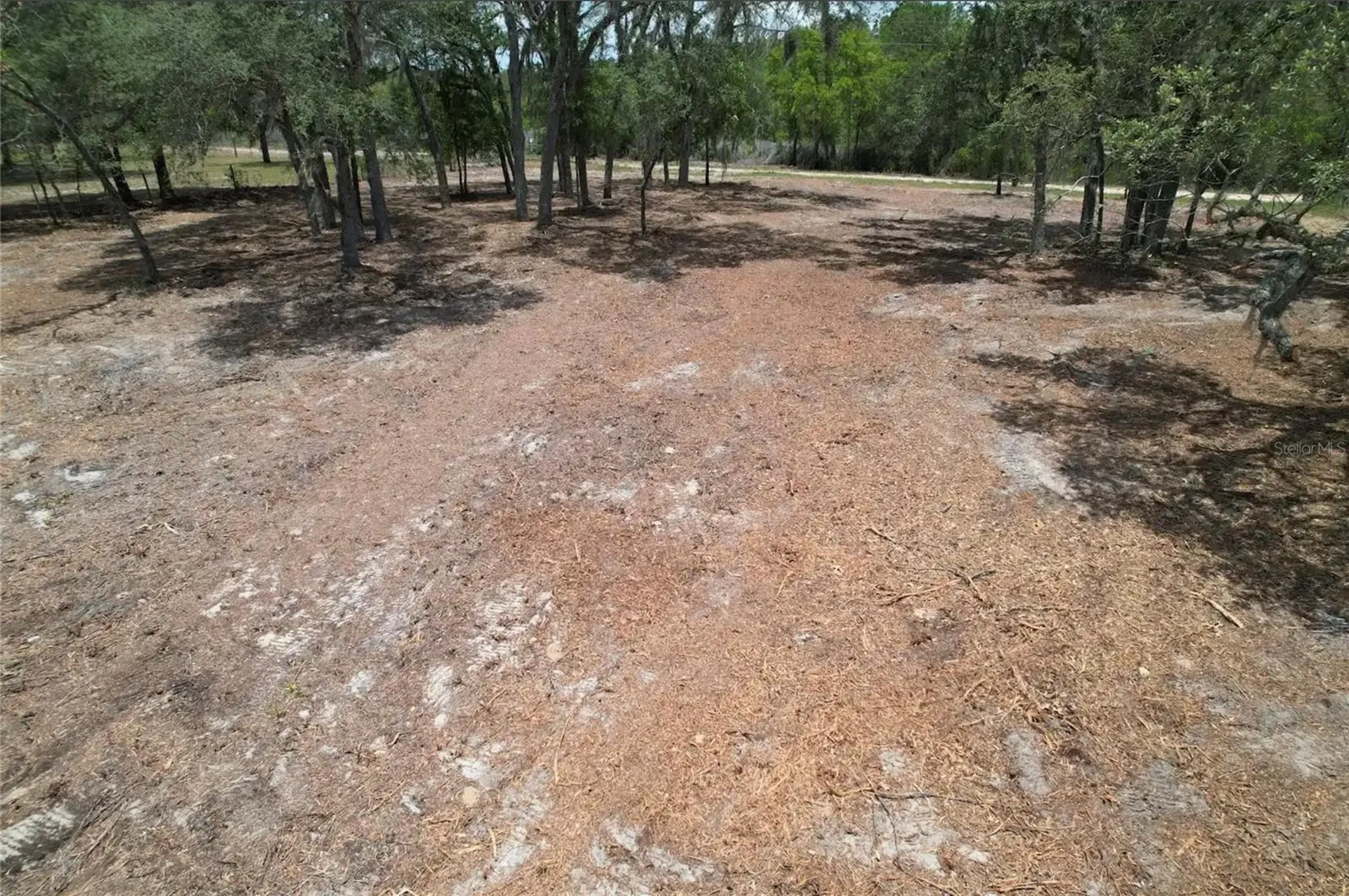 NE 56th Street Bronson FL 32621