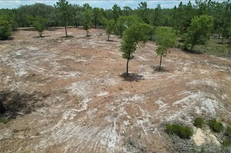 NE 56th Street Bronson FL 32621