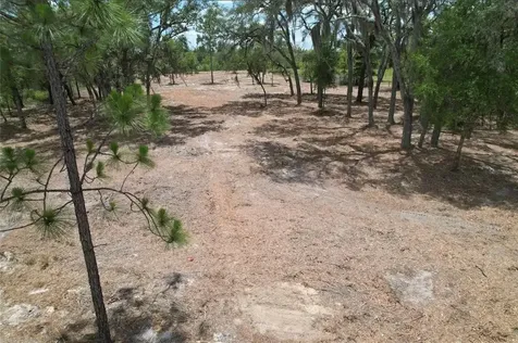 NE 56th Street Bronson FL 32621