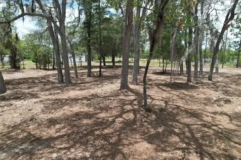 NE 56th Street Bronson FL 32621
