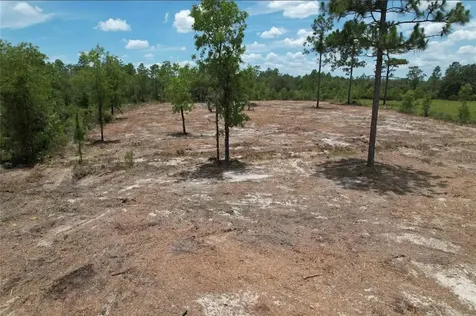 NE 56th Street Bronson FL 32621