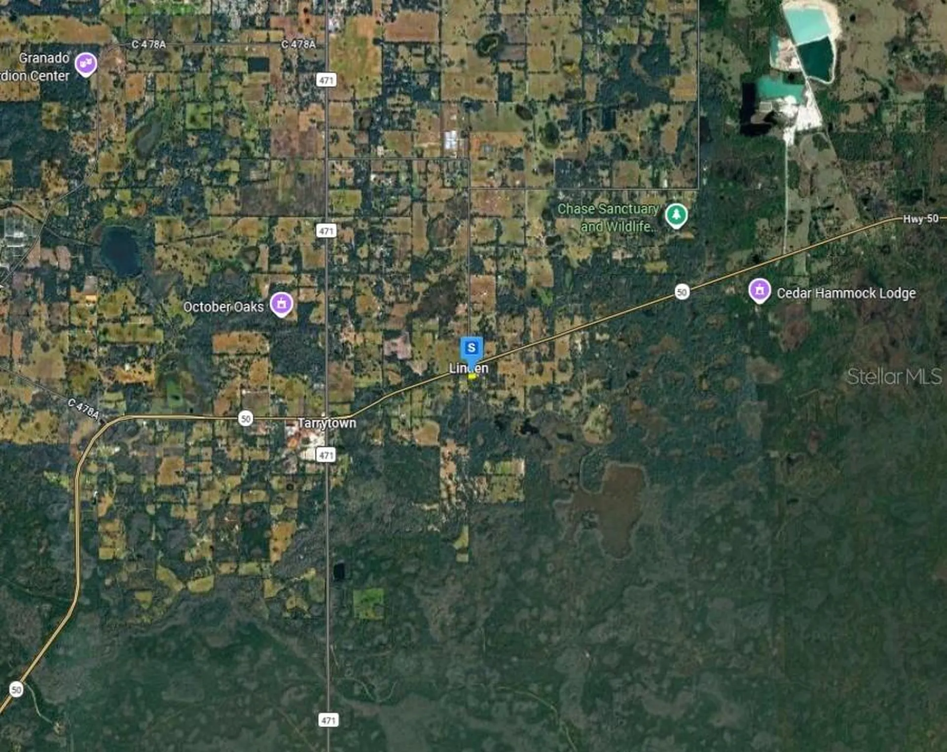 13405 Cr 719 Webster FL 33597