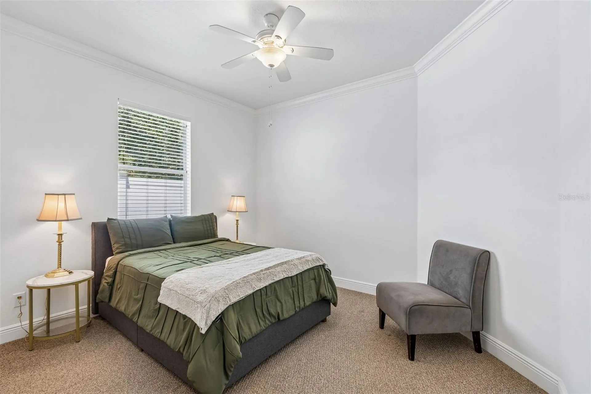 10524 Mistflower Lane Tampa FL 33647