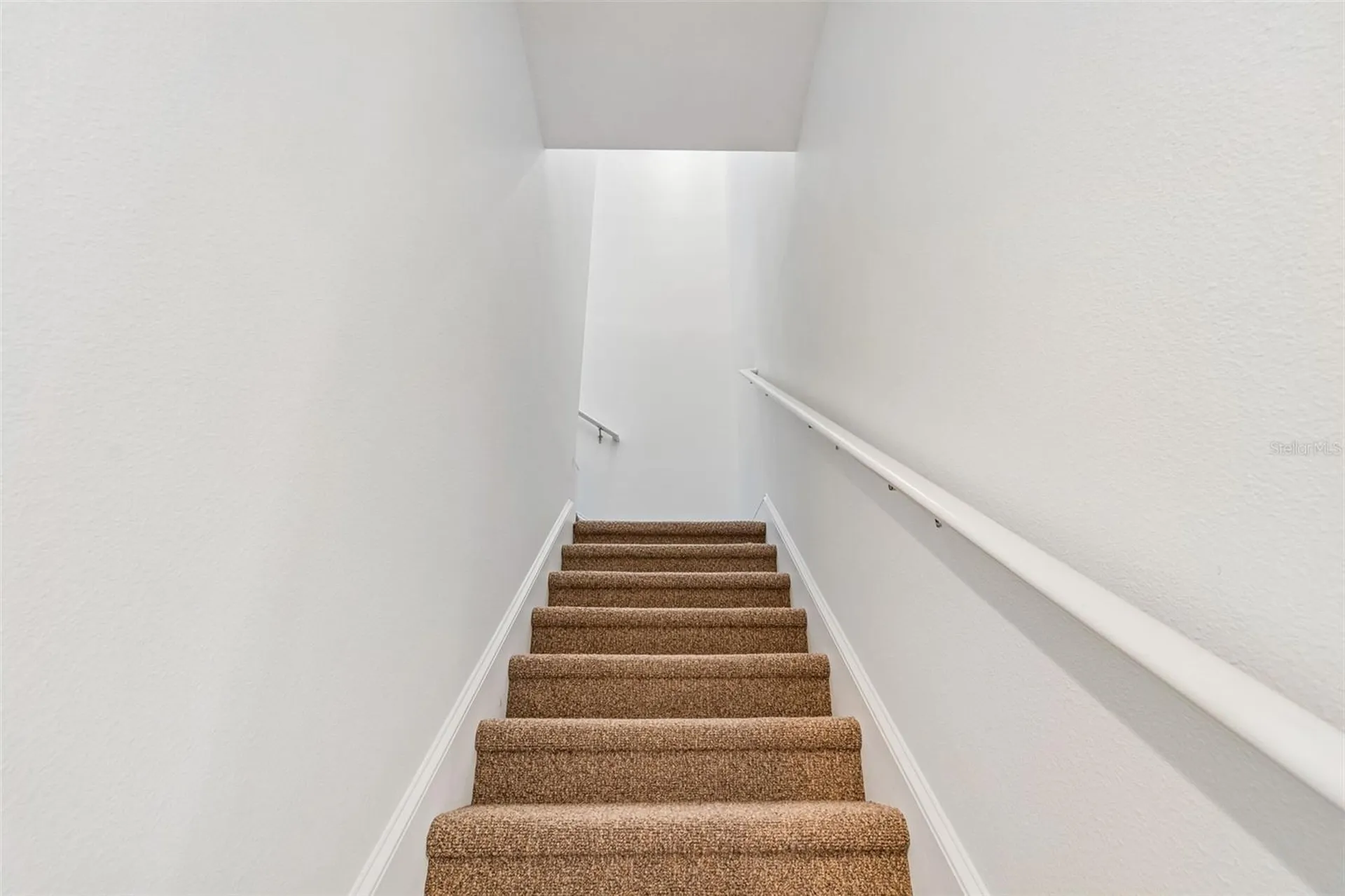 10524 Mistflower Lane Tampa FL 33647