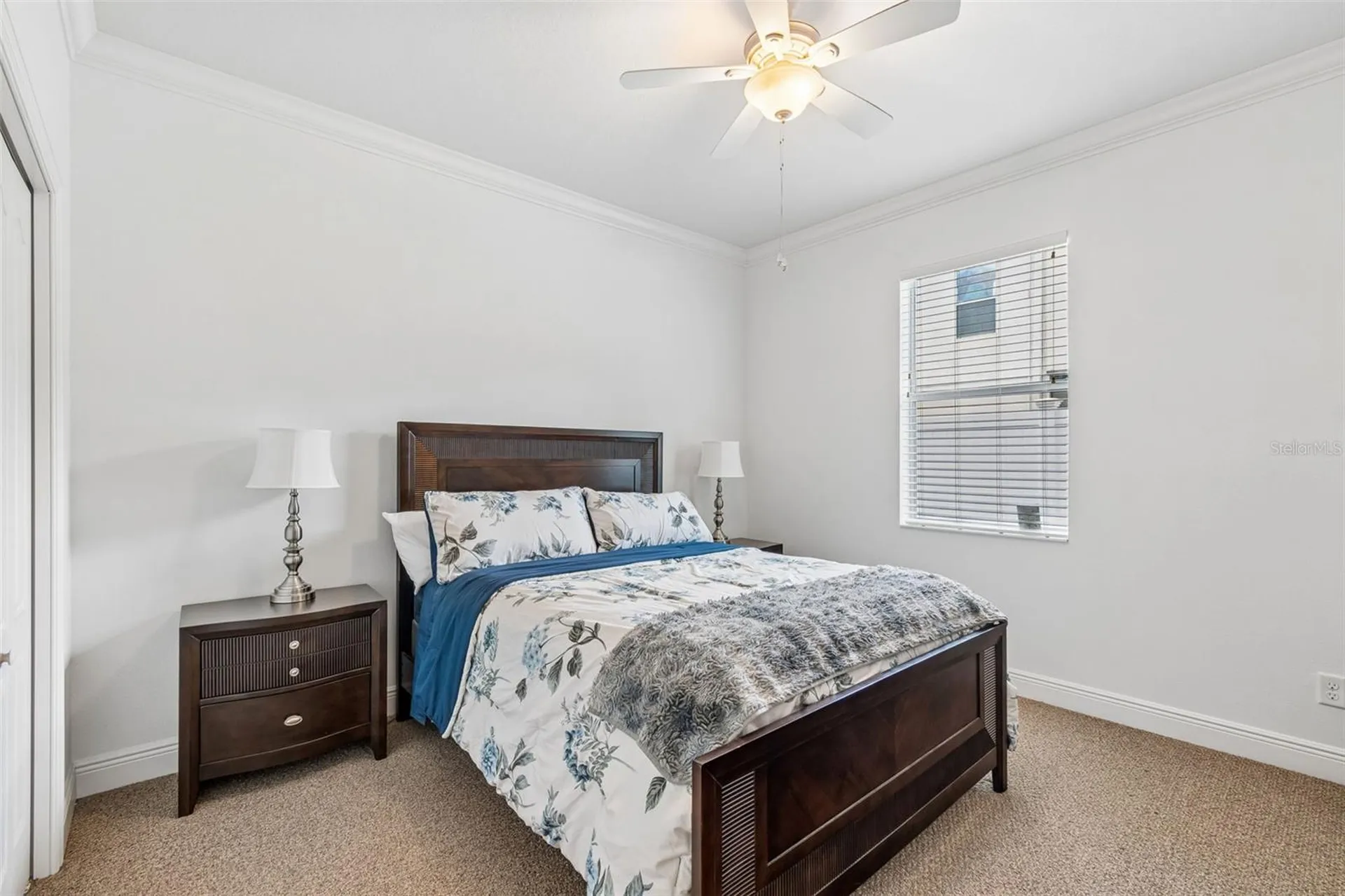 10524 Mistflower Lane Tampa FL 33647