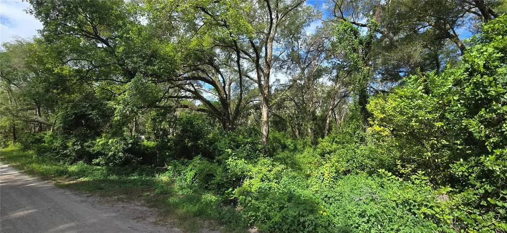 15621 Daybreeze Drive Spring Hill FL 34610