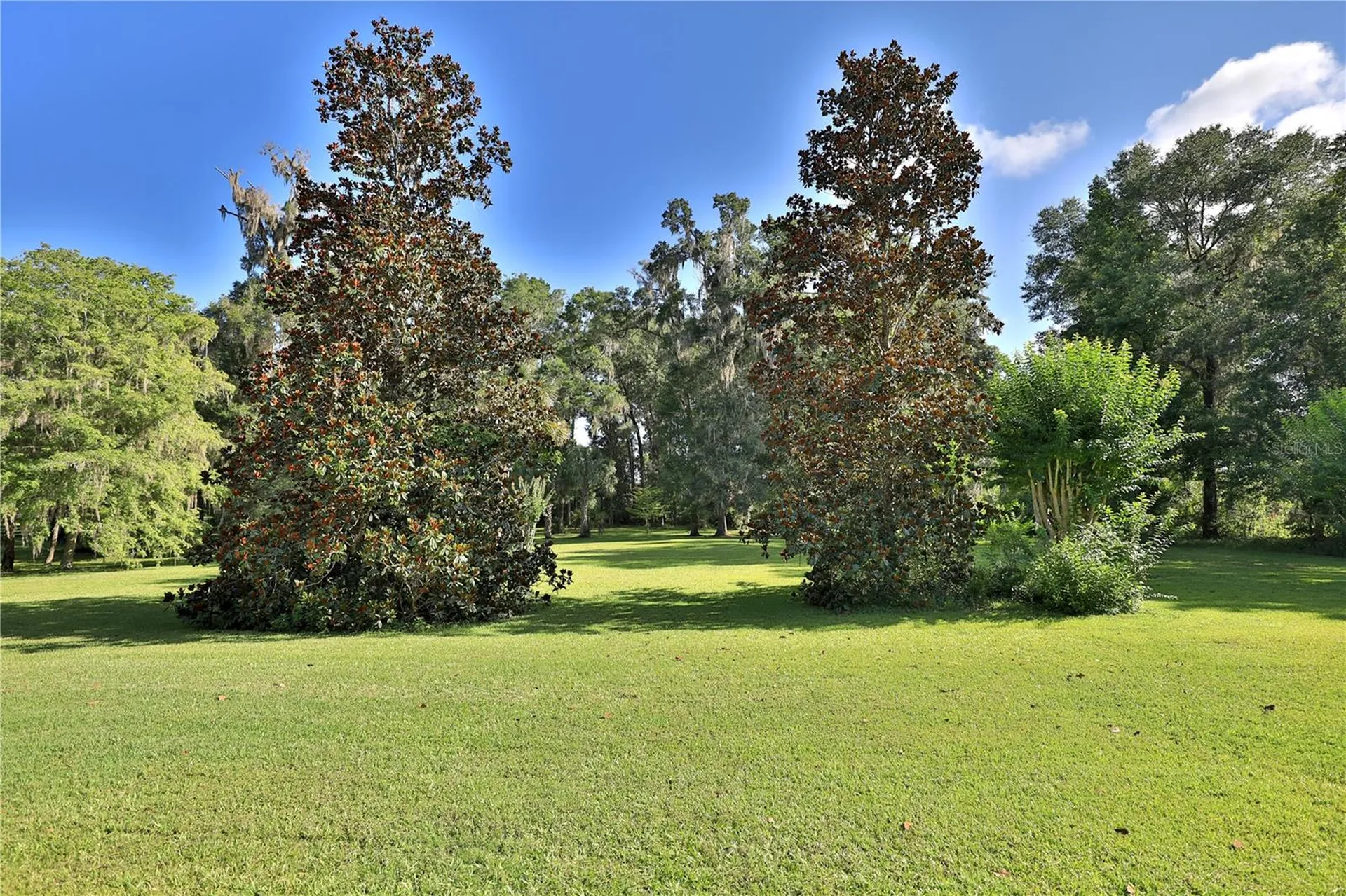 1351 SE 91st Place Ocala FL 34480