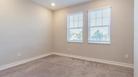 5062 San Martino Drive Wesley Chapel FL 33543