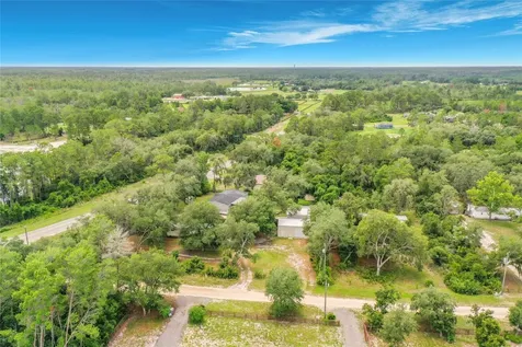 31032 Rory Lane Eustis FL 32736