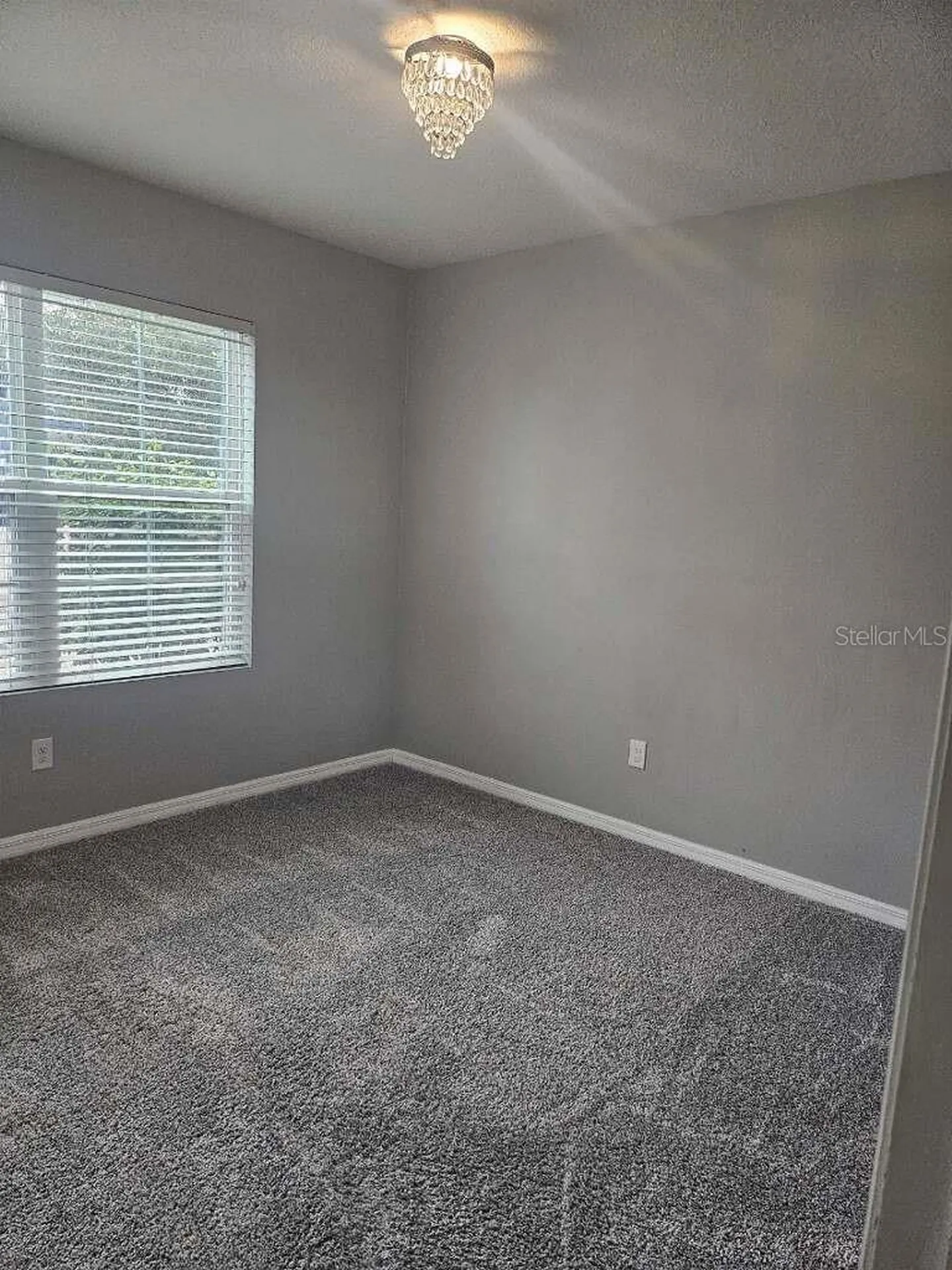 10662 Park Meadowbrooke Drive Riverview FL 33578