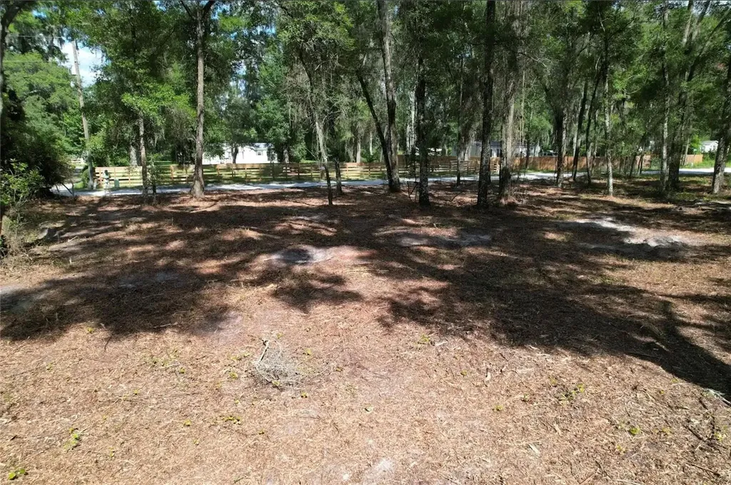 17792 SE 30th Avenue Summerfield FL 34491