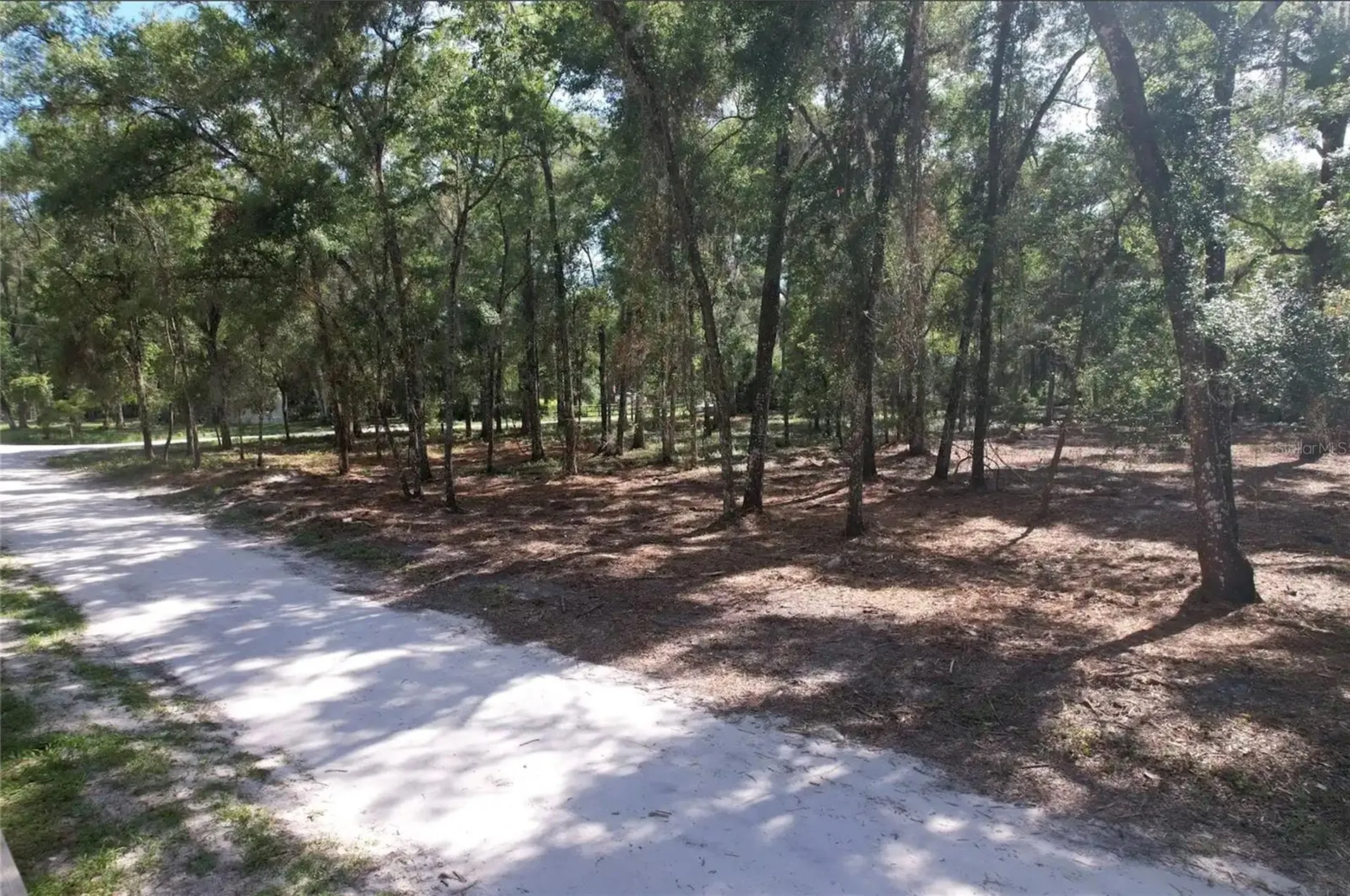 17792 SE 30th Avenue Summerfield FL 34491