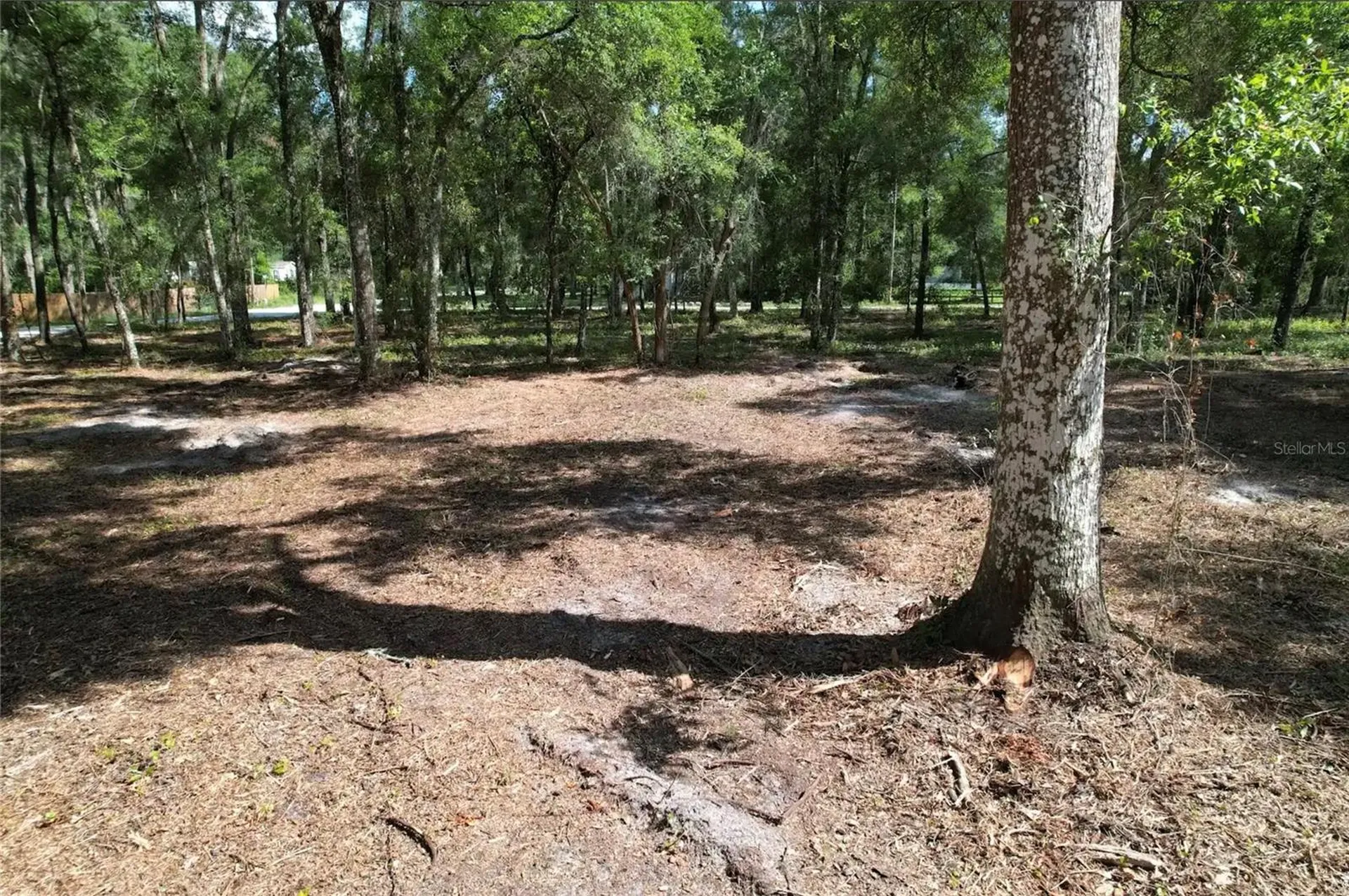 17792 SE 30th Avenue Summerfield FL 34491