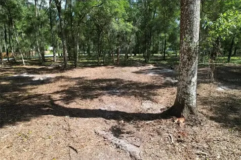 17792 SE 30th Avenue Summerfield FL 34491