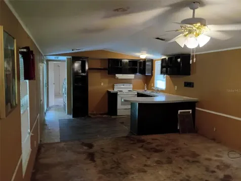 33348 Brisk Drive Wesley Chapel FL 33543