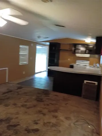 33348 Brisk Drive Wesley Chapel FL 33543