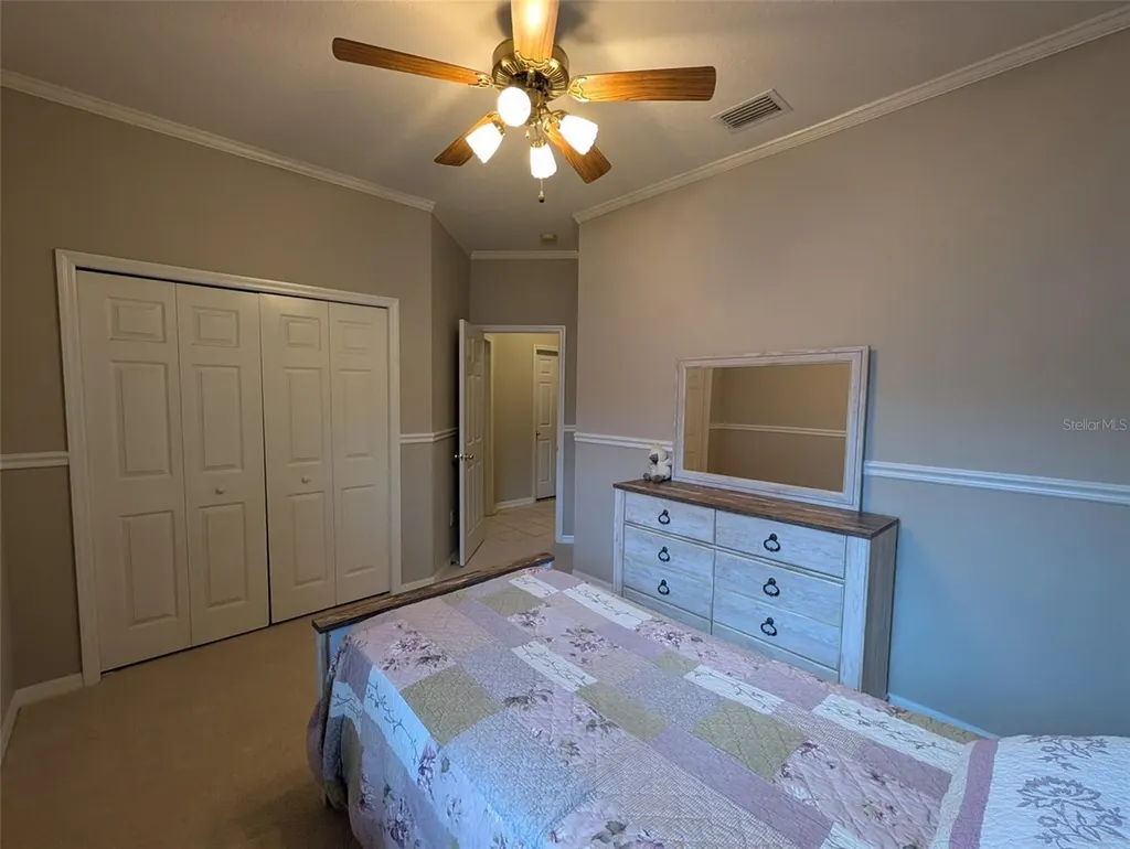 3512 Cordgrass Drive Valrico FL 33596