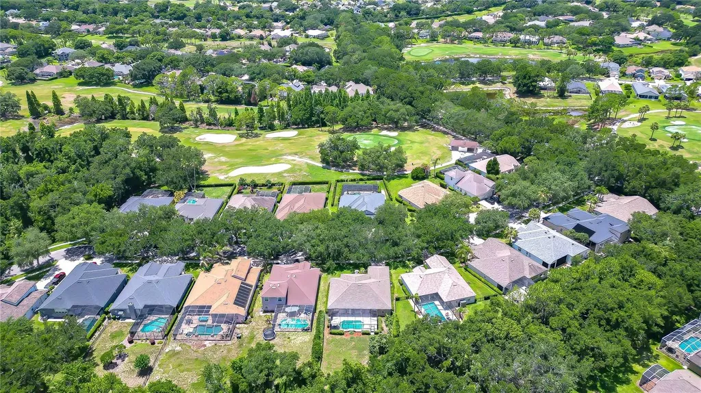 3512 Cordgrass Drive Valrico FL 33596