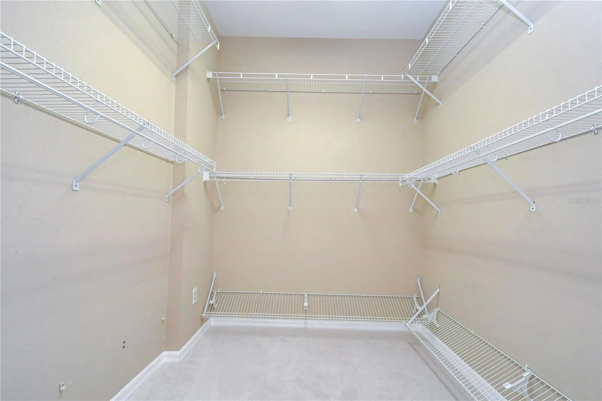 3512 Cordgrass Drive Valrico FL 33596