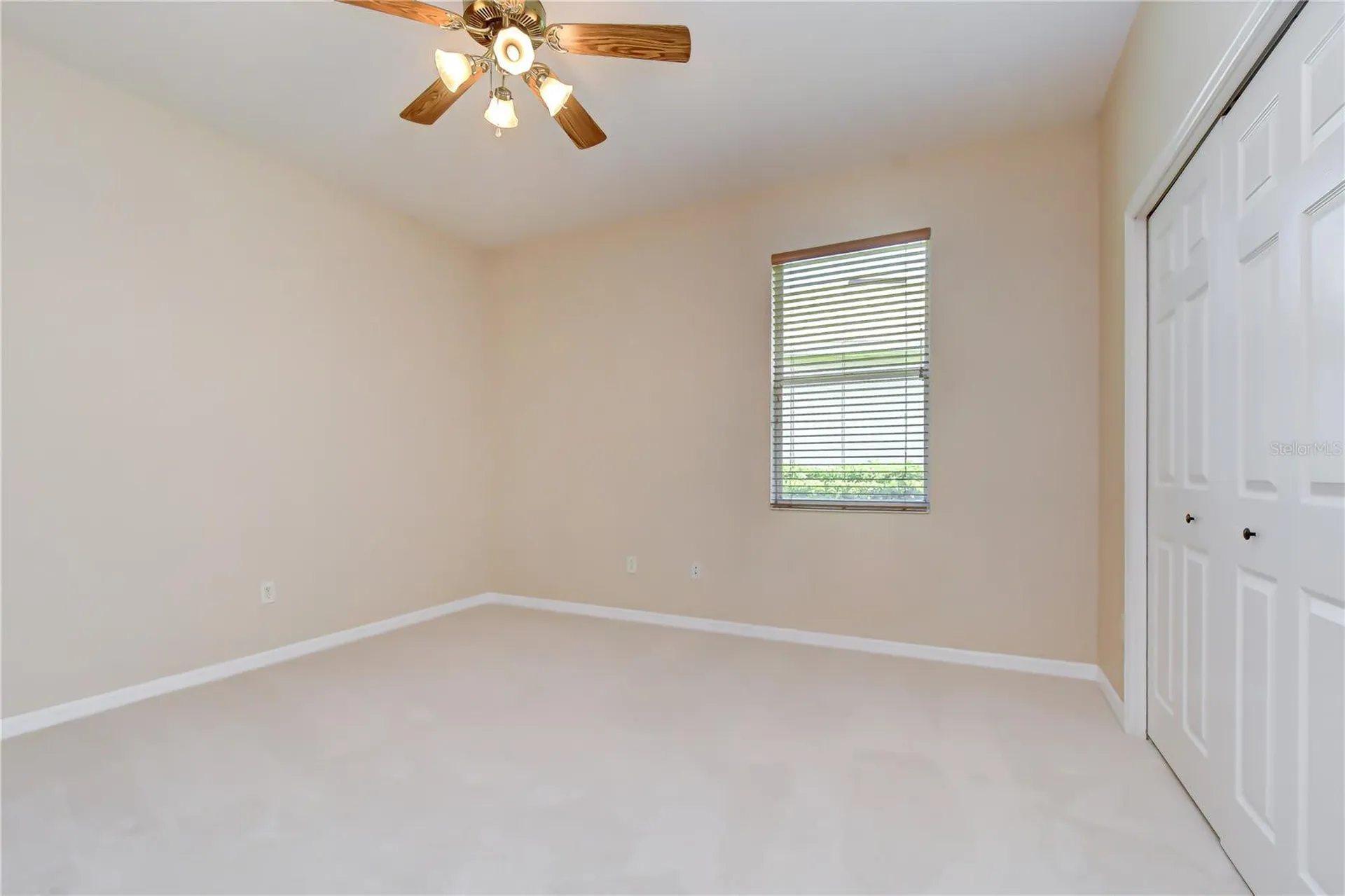 3512 Cordgrass Drive Valrico FL 33596