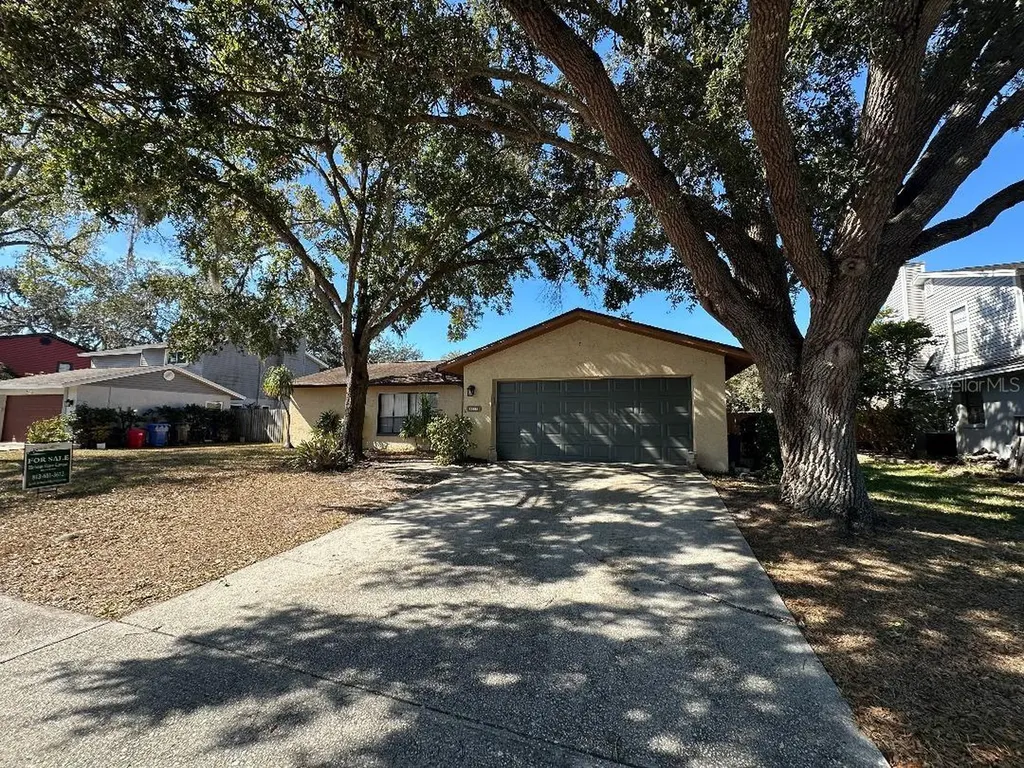 4305 Ellenville Place Valrico FL 33596