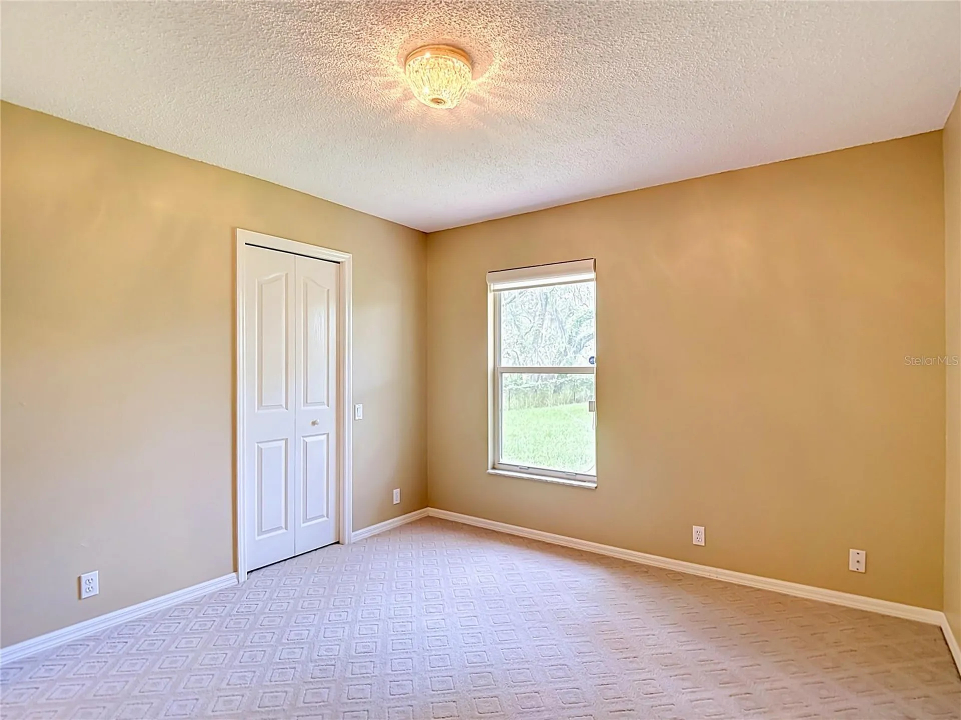 9433 Wilderness Trail Weeki Wachee FL 34613