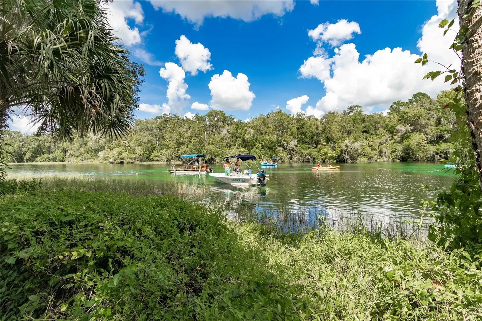9726 SW 192nd Court Road Dunnellon FL 34432