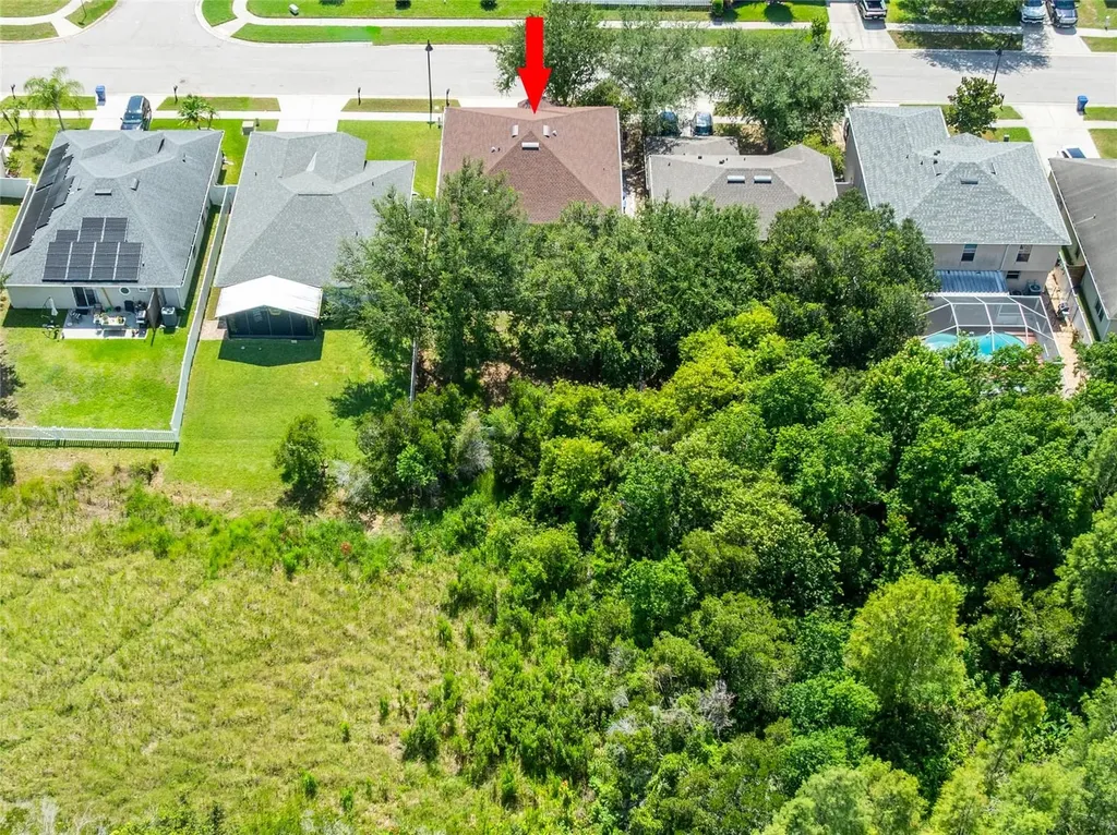 3142 Bellericay Lane Land O Lakes FL 34638