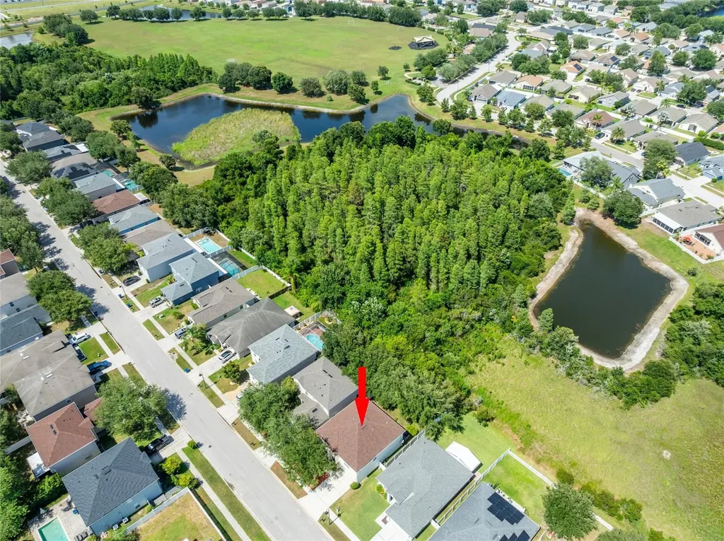 3142 Bellericay Lane Land O Lakes FL 34638