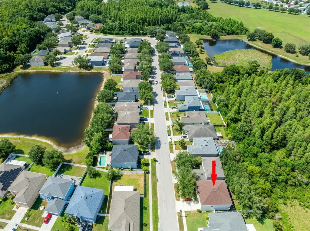3142 Bellericay Lane Land O Lakes FL 34638