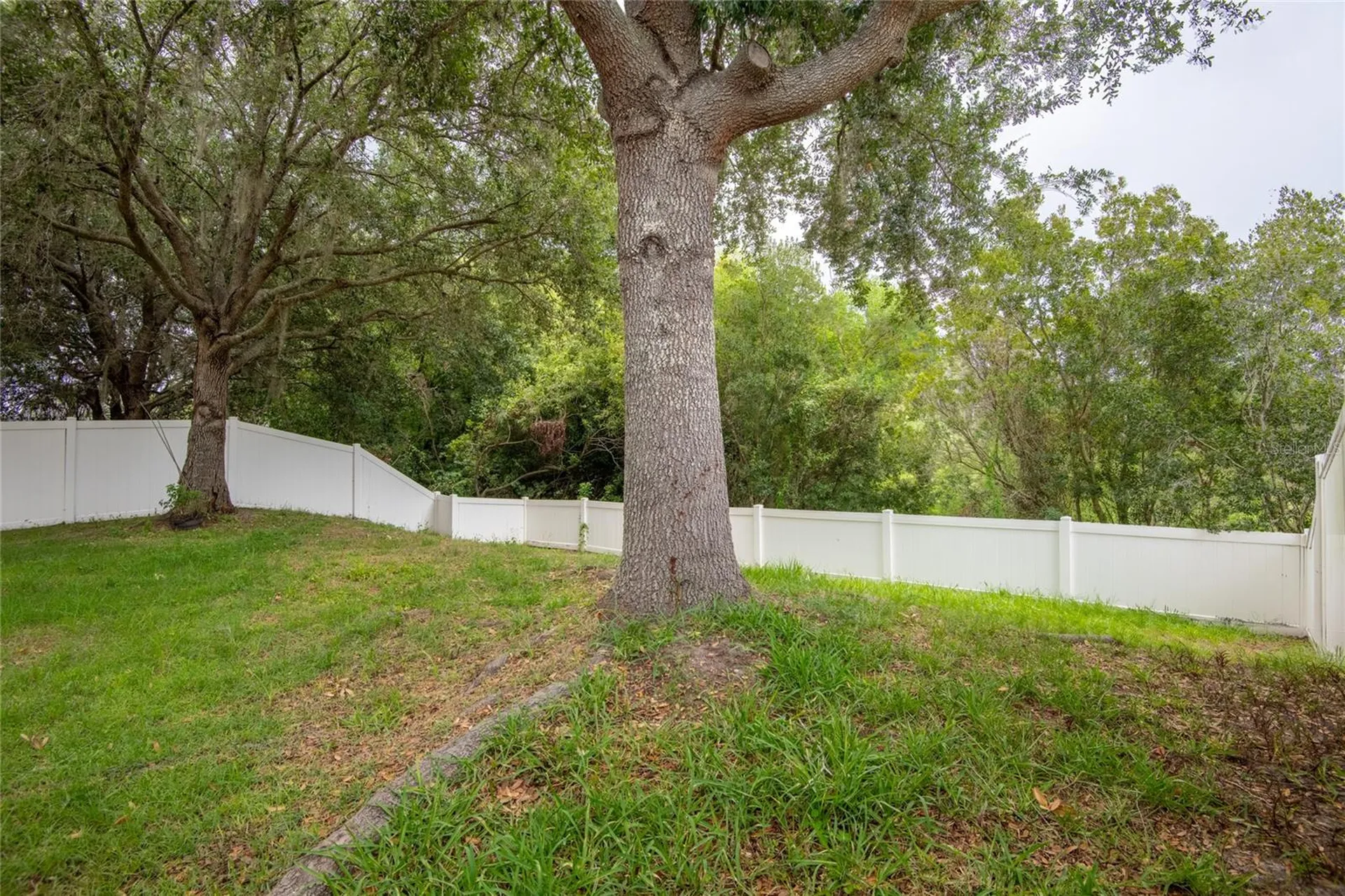 3142 Bellericay Lane Land O Lakes FL 34638