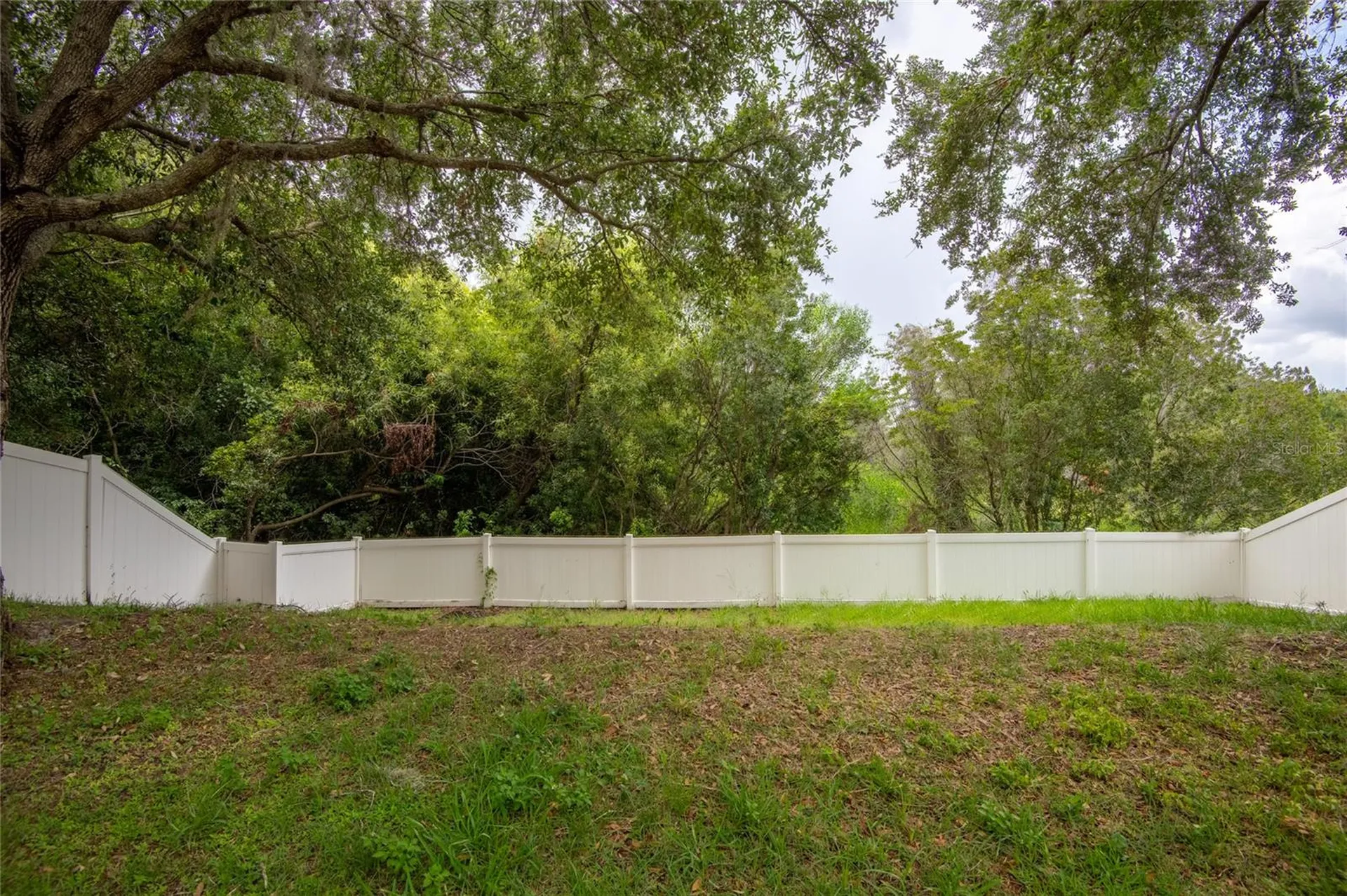 3142 Bellericay Lane Land O Lakes FL 34638