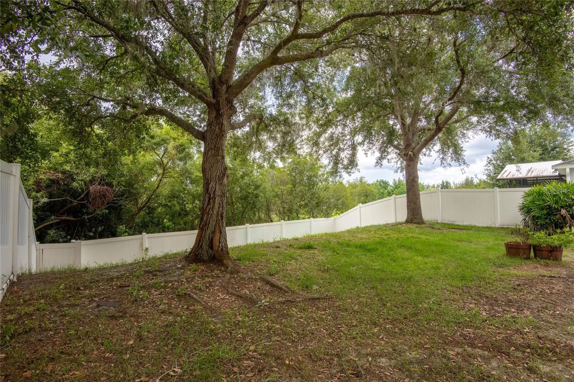 3142 Bellericay Lane Land O Lakes FL 34638