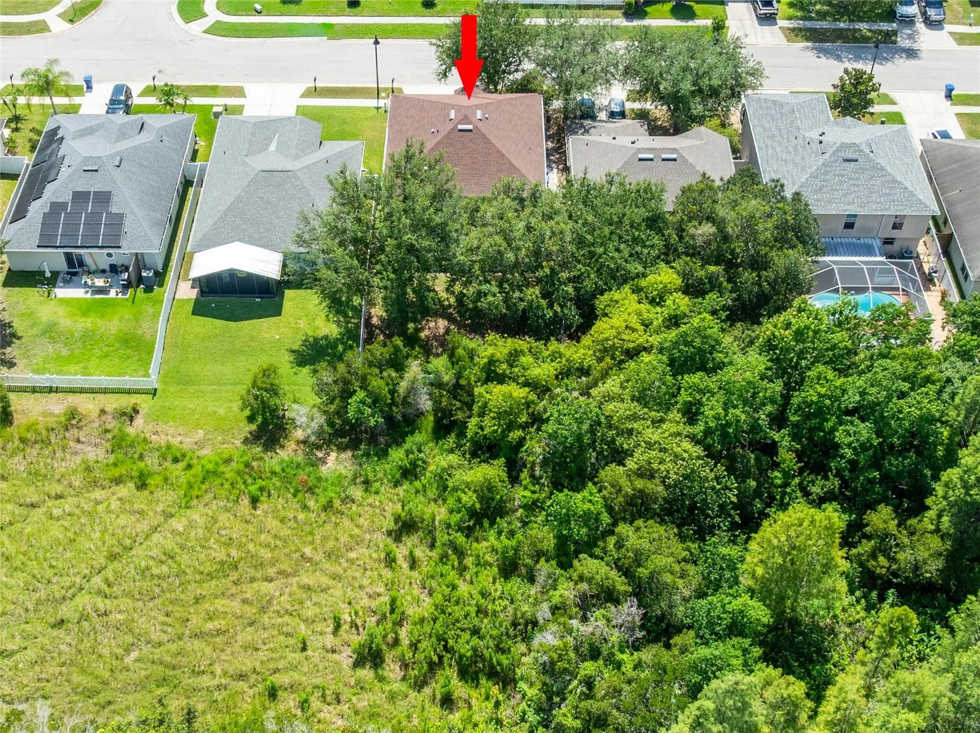 3142 Bellericay Lane Land O Lakes FL 34638
