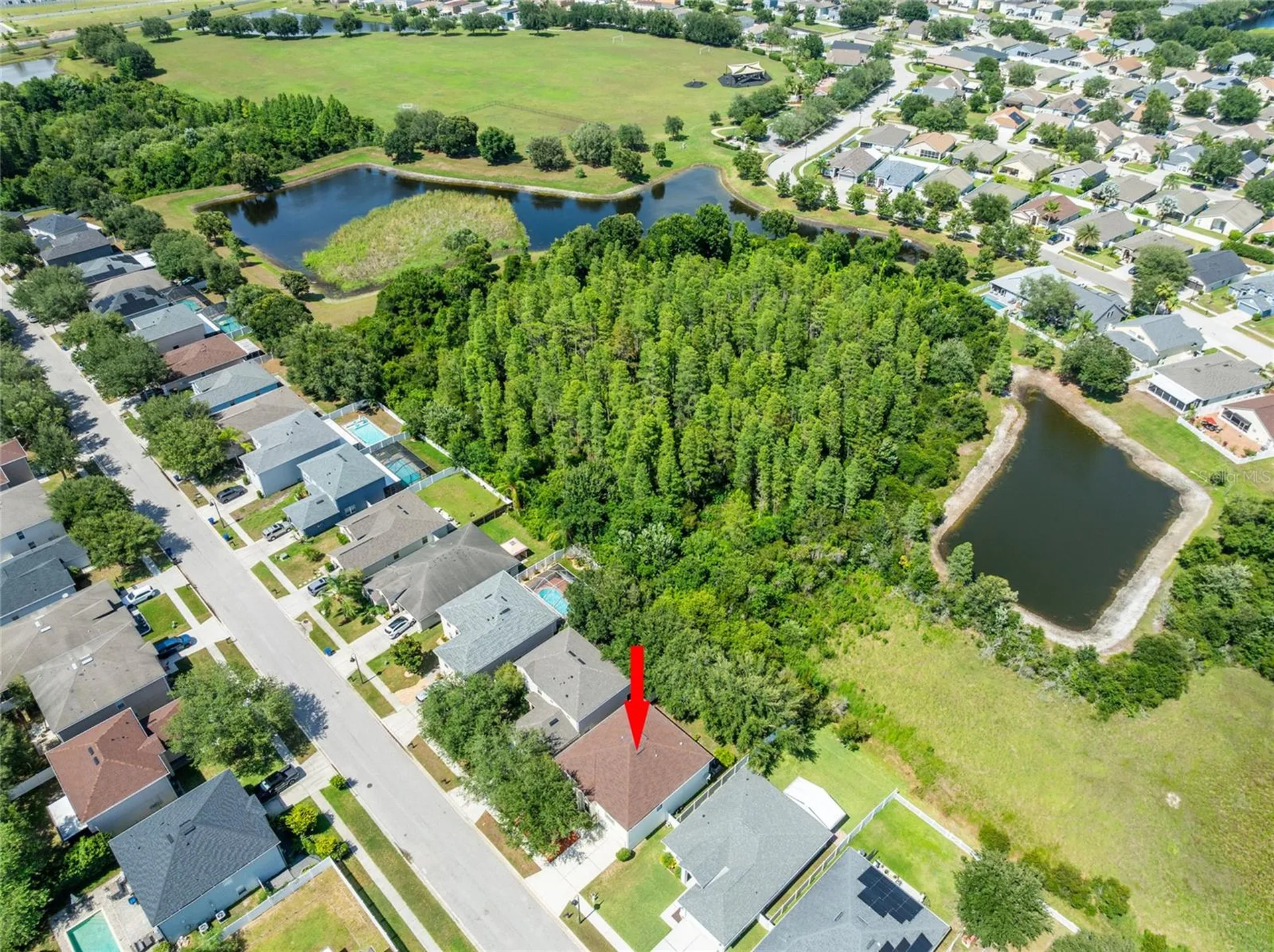 3142 Bellericay Lane Land O Lakes FL 34638