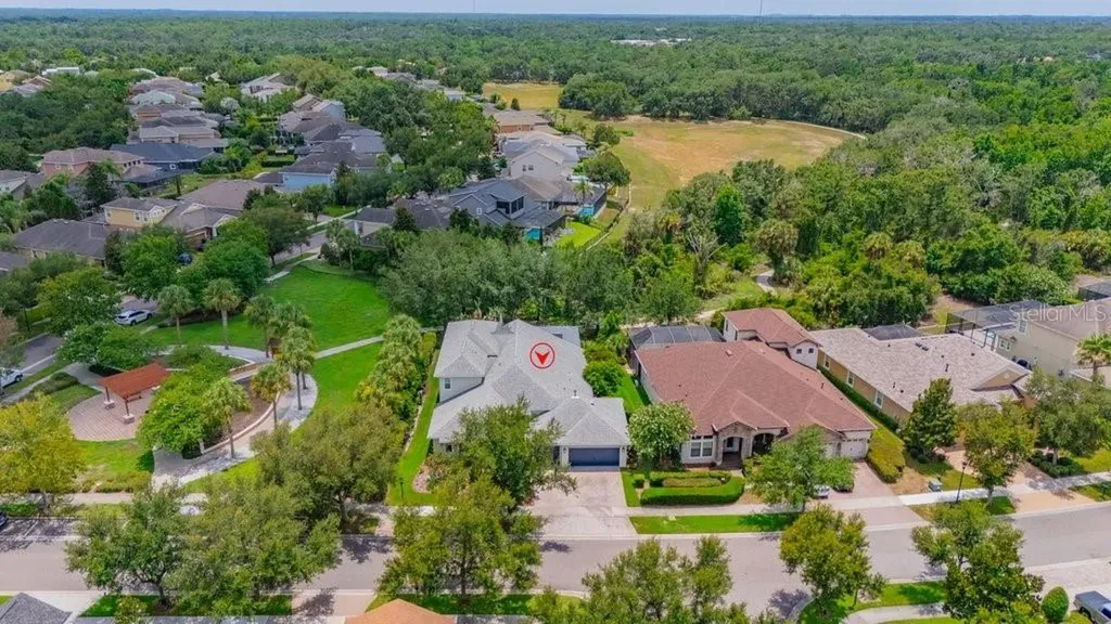 15531 Starling Crossing Drive Lithia FL 33547