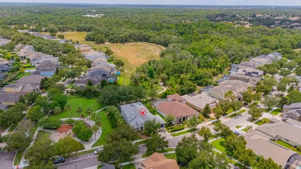 15531 Starling Crossing Drive Lithia FL 33547