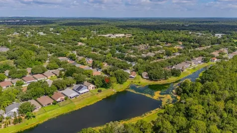 15424 Osprey Glen Drive Lithia FL 33547