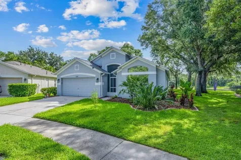 15424 Osprey Glen Drive Lithia FL 33547