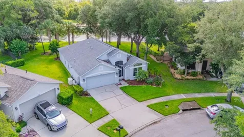15424 Osprey Glen Drive Lithia FL 33547