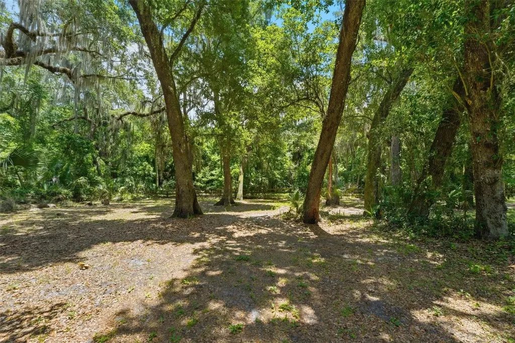 381 N Jungle Road Geneva FL 32732