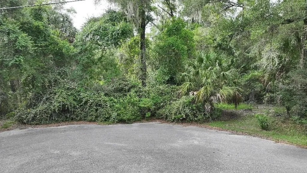 18731 SW 79th Place Dunnellon FL 34432