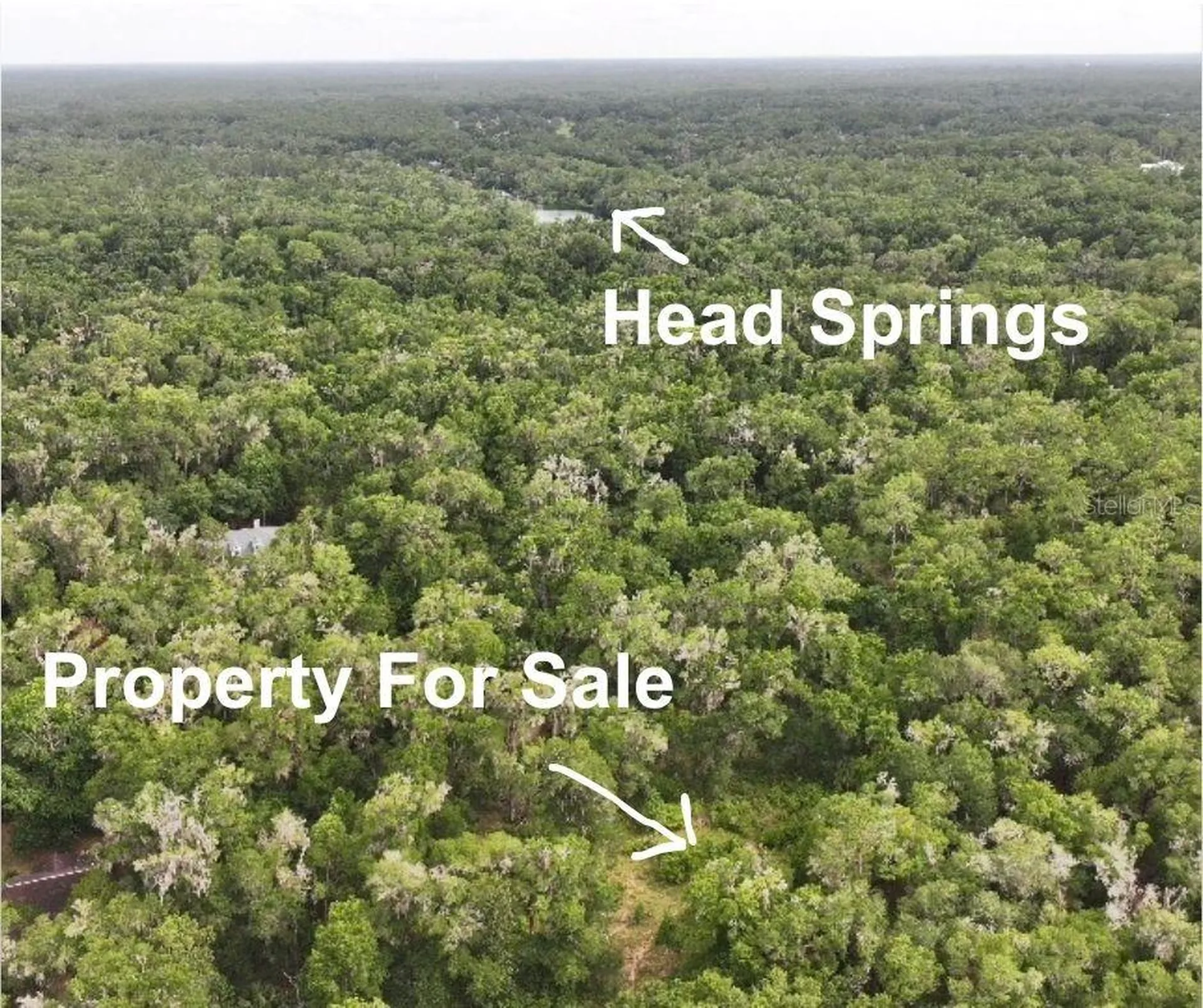 18731 SW 79th Place Dunnellon FL 34432
